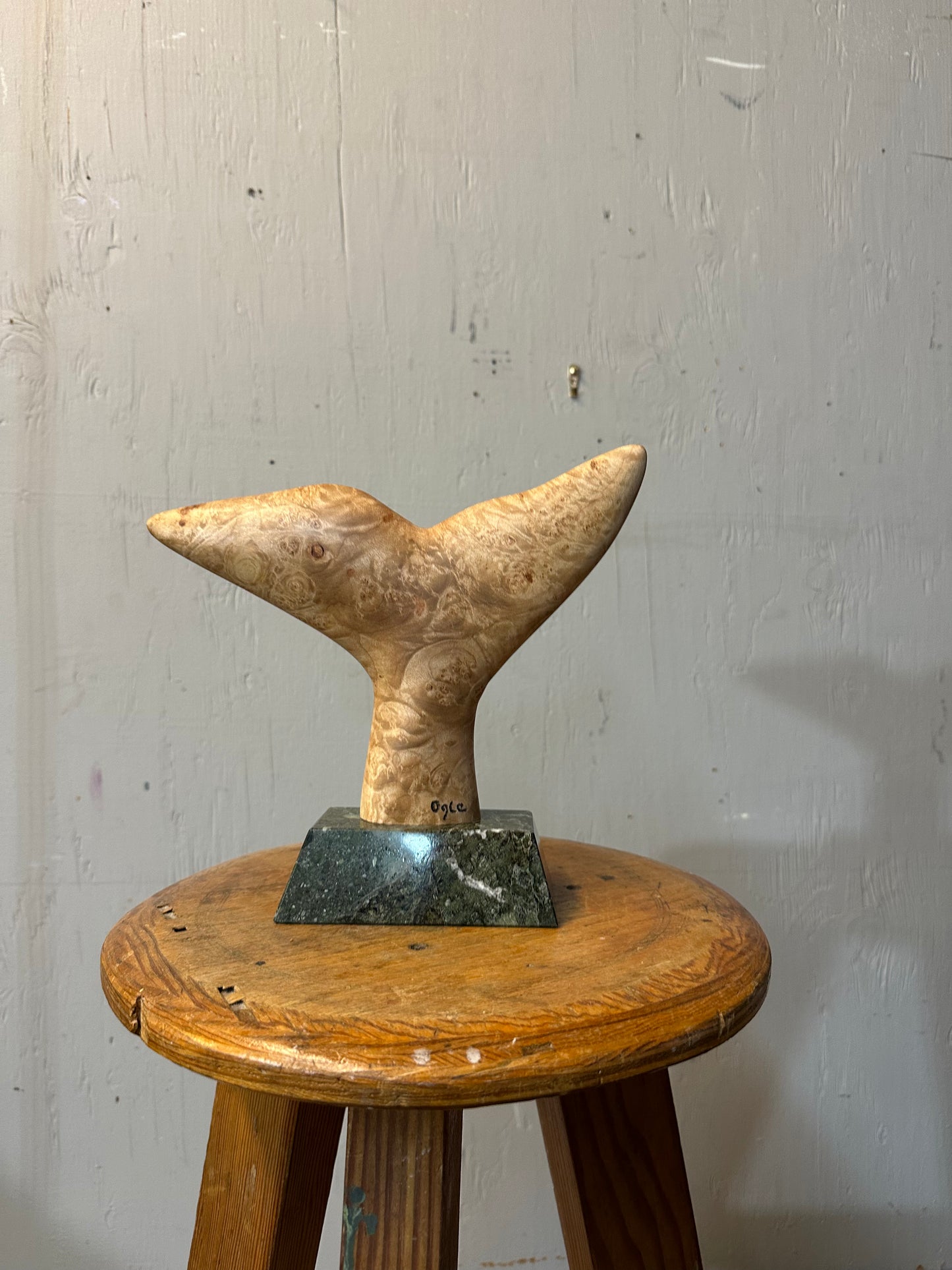 Big Leaf Maple Whale Tale