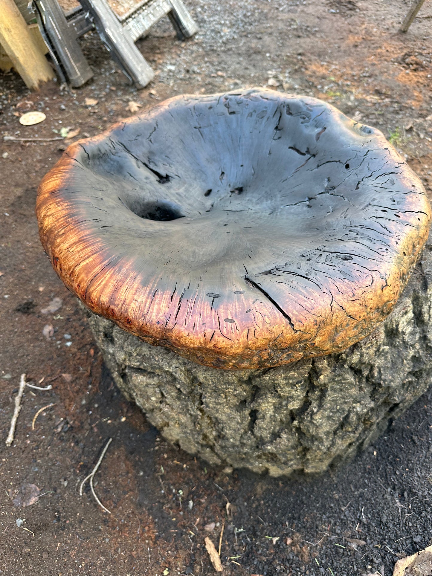 Madrona Fire Bowl