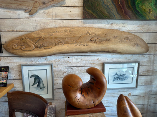 Sea Life of The Northwest Coast